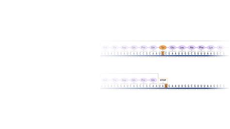 Image result for Point mutation Definition