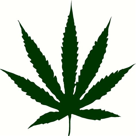 Bhang Leaves Images Clipart