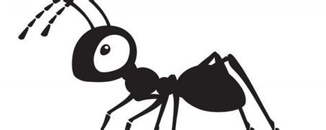大白课|动物的性生活之蚂蚁的淫荡史 - 知乎