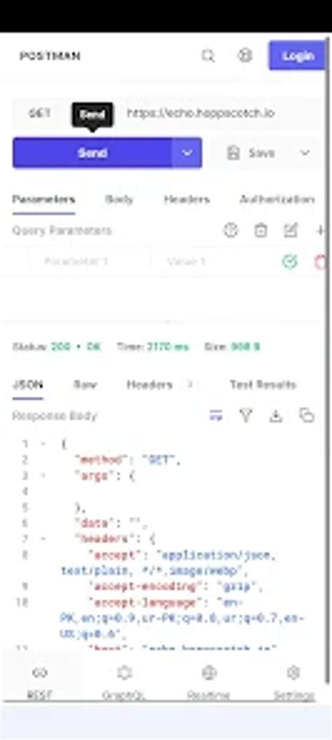 Postman API Example 的图像结果