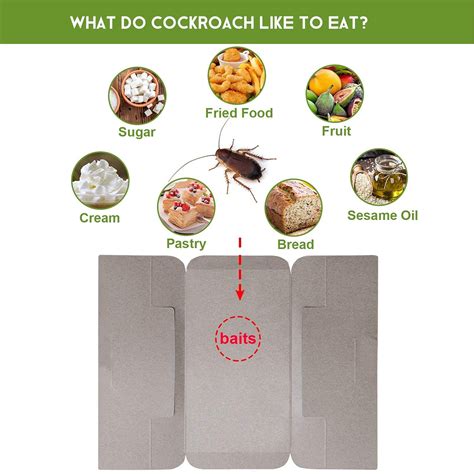 Buy 12 Pack Cockroach Trap, Cockroach Killer Indoor Home, Roach Bait ...