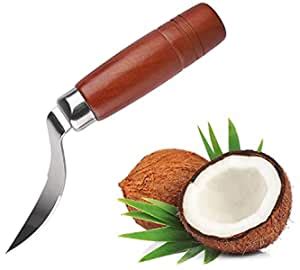 Buy NILKANTH® Coconut Meat Removal Tool – Stainless Steel with Wooden ...