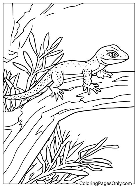 Lizard Printable Coloring Page
