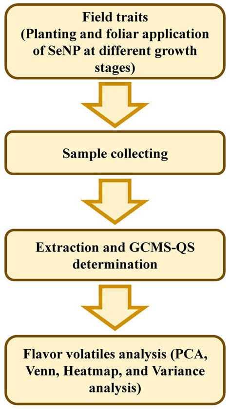 Effects of Selenium Nanoparticle Application on Flavor Volatiles of ...