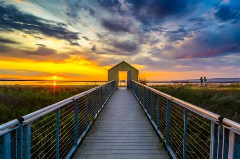 Alviso Marina County Park - Heroes Of Adventure