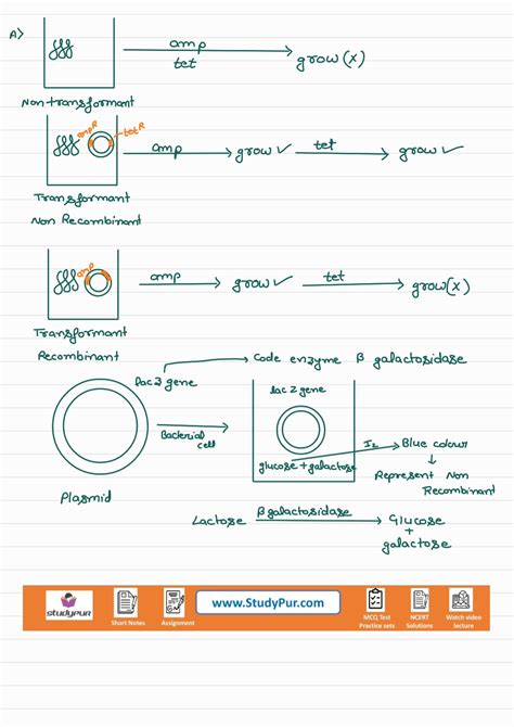 The Process Biotechnology Grade 12 的图像结果