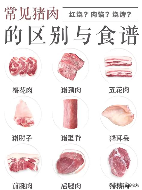 盘点：猪肉20个部位的不同吃法 - 烹饪技巧 - 品口 - pinkou.com