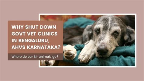 Petition · Withdraw Govt Order to shut down 28 Govt Vet Clinics in ...