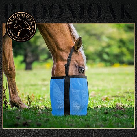 Grain Feed Bags For Horses at Santos Long blog