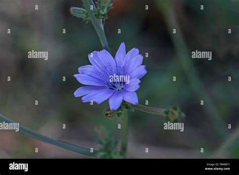 Image result for Common Core Grade 3 Math