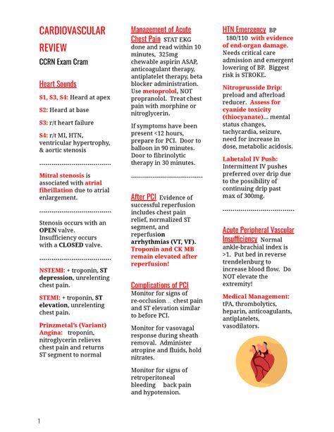 Ccrnstudy Guide - Complete CCRN review - CARDIOVASCULAR REVIEW CCRN ...