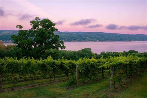 Finger Lakes Wine Country - New York's Hidden Vineyards | TouristSecrets
