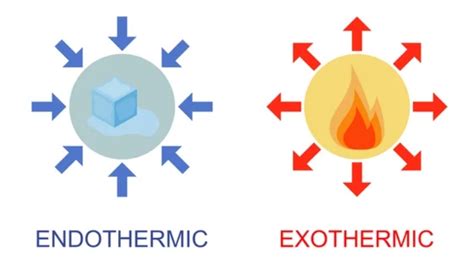 Difference Between Endothermic and Exothermic Reactions: find the topic ...
