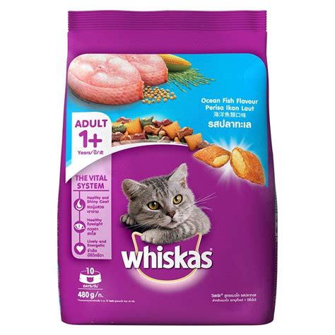 cat food you can make at home