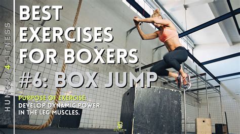 Boxing Exercises 的图像结果