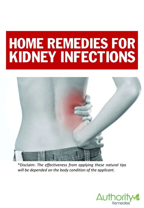 PPT - How to cure Kidney Infections without medicine PowerPoint Presentation - ID:7474015