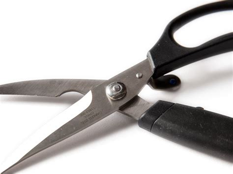 The Best Poultry Shears