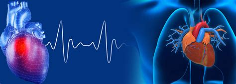 Clinical Cardiology Course | Diploma in Clinical Cardiology ...
