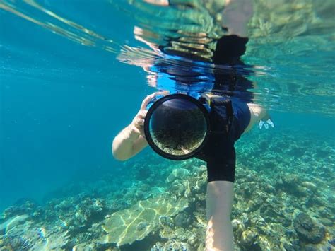 Environment Camera 的图像结果