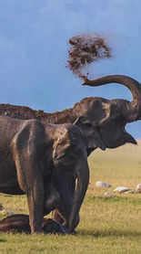 How to plan a perfect trip to Munsiyari in Uttarakhand? | Times of ...