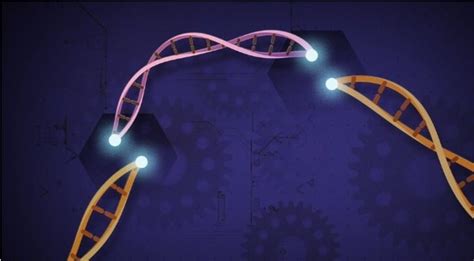 CRISPR Human Trials Are Currently Underway, And Will Cure Genetic ...