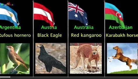 5 countries national flags and national animal - Brainly.in