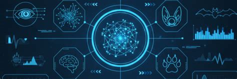 Cognita Cybernetics Pvt Ltd| Where Intelligence Meets Innovation