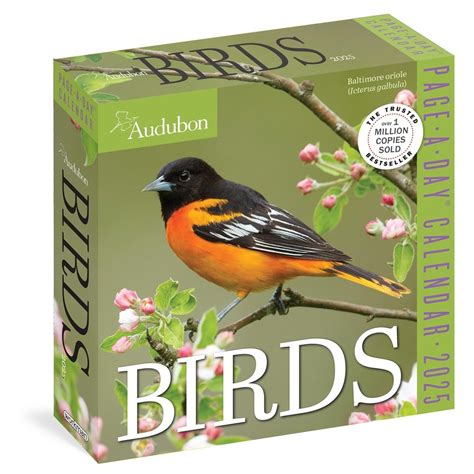 Audubon Birds Page-A-Day Calendar 2025: The World's Favourite Bird ...