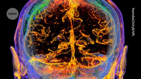 Nature Article 的图像结果
