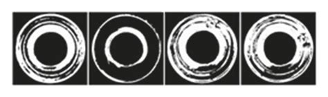 Image result for Image Segmentation Algorithm