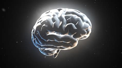 Wireless Brain Computer Interface 的图像结果