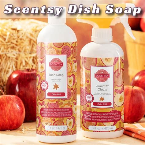 Soap Dish Soap