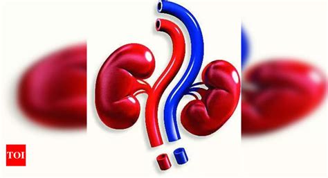 Surge in kidney disease: NIMS treats 500 new cases a month | Hyderabad ...