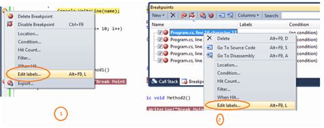 Debugging in Visual Studio 的图像结果