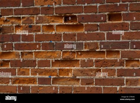 Image result for Brick Color Randomizer Script