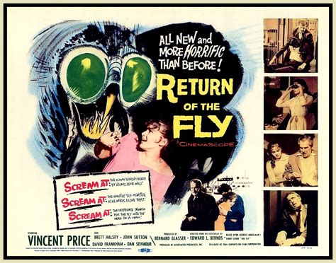 Return of the fly
