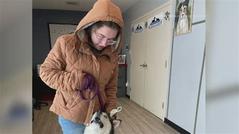 Teen spends night at Marion Area Humane Society so pets stay safe ...