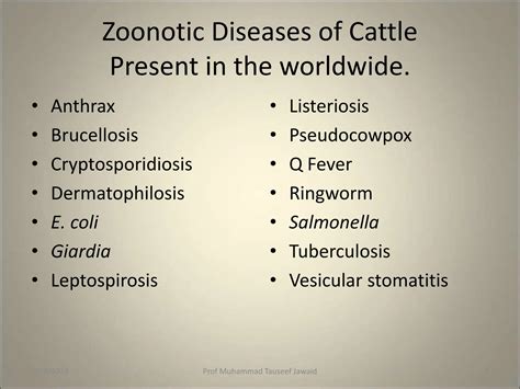 Zoonotic Diseases | PPT - classification of zoonotic diseases