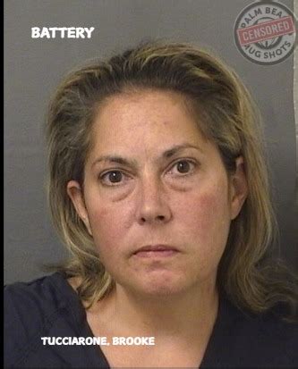 Palm - TUCCIARONE, BROOKE SUSAN Arresting Agency: 01-PBSO Charges 784. ...