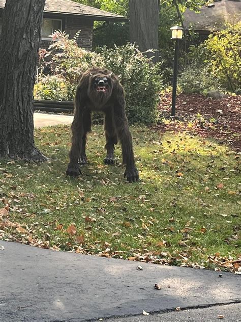 Not mine, found in Detroit Michigan : r/werewolves