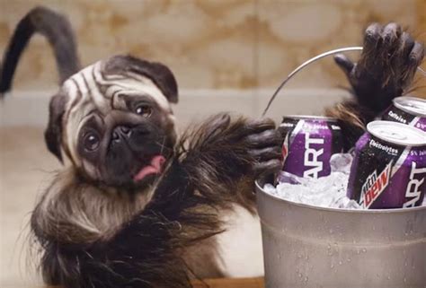 Puppy Monkey Baby Super Bowl Commercial 的图像结果