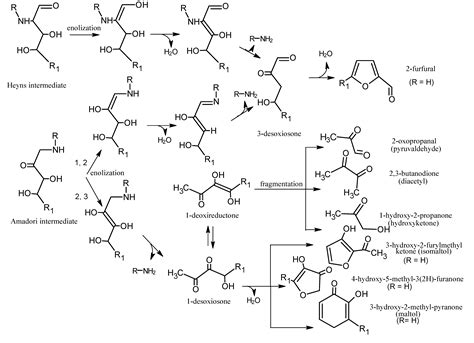 The Development of Aromas in Ruminant Meat