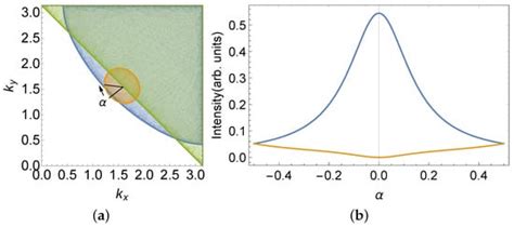FL* Approach to the Coexistence of Fermi Arcs with Metal–Insulator ...