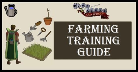 Image result for OSRS Farming Run Guide