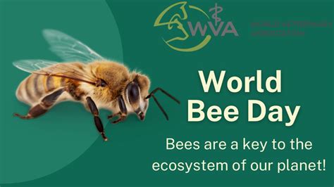 "World Bee Day 2025: Nourishing Ecosystems, Securing Our Food Future"