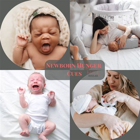 Learning Your Baby's Hunger Cues - Rocket City Doulas