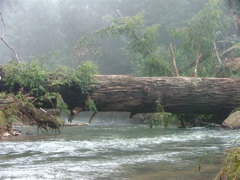 High Resolution Background 的图像结果