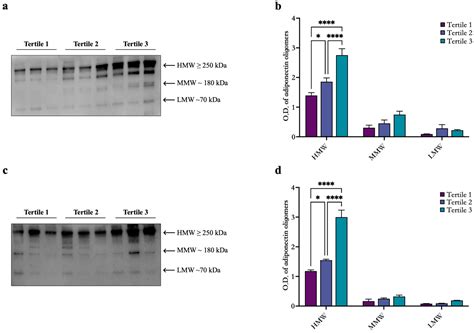 Adiponectin and HMW Oligomers in Relation to Inflammatory Markers in ...