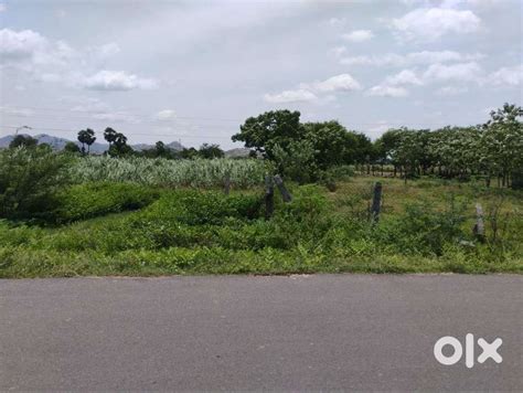 18.5acre TiruVannamalai to 18km layout investment property - Lands ...