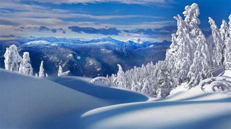 冬雪雪景壁纸大全,高清图片,壁纸,自然风景-桌面城市